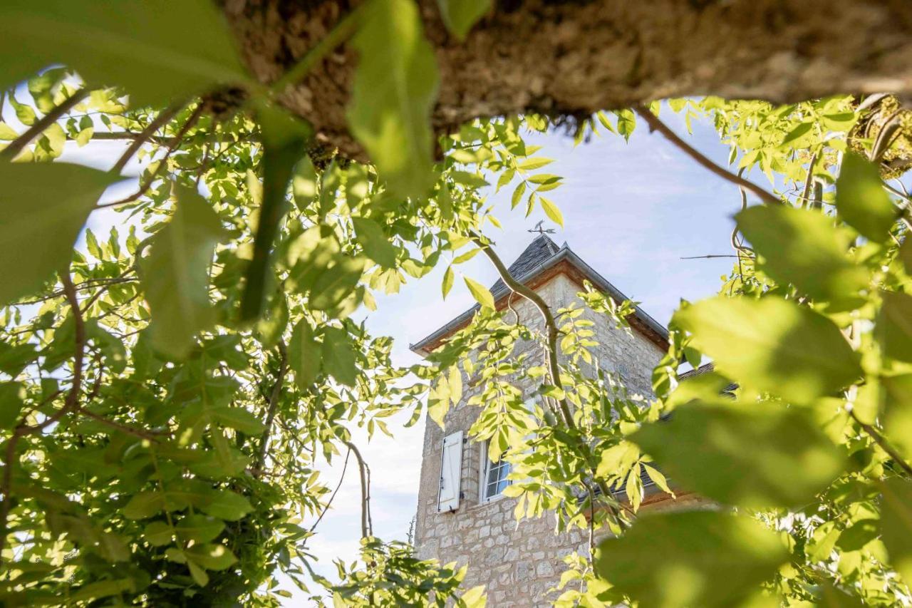 Domaine La Garenne Bed & Breakfast Reilhaguet Exterior photo