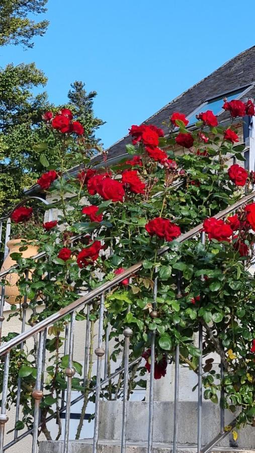 Domaine La Garenne Bed & Breakfast Reilhaguet Exterior photo